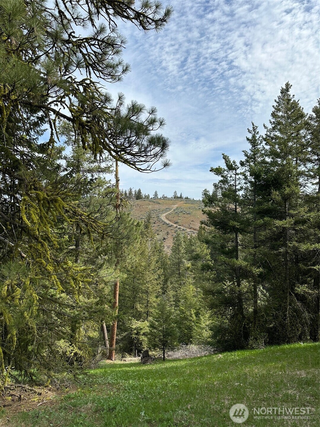 420 Hummingbird Road East Wenatchee, WA 98802 - Photo 10 of 22 Gallery Image 10
