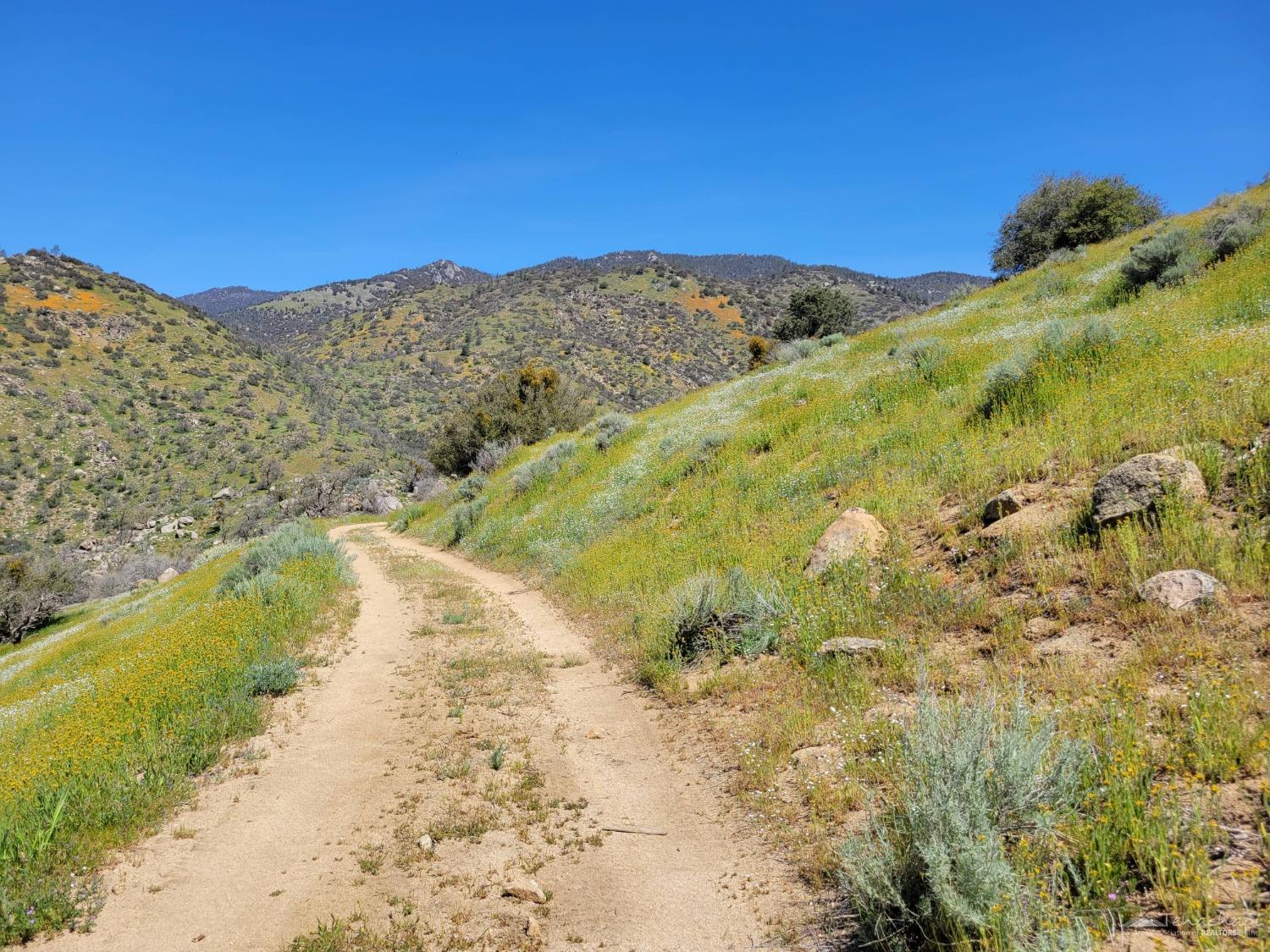 0 John Fremont Road Caliente, CA 93518 - Photo 21 of 39 Gallery Image 21