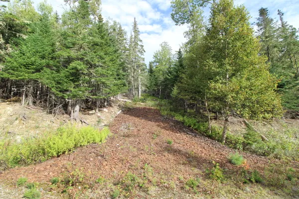 $90,000 | Lot 8 Wheeler Road, Rangeley, ME 04970