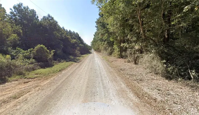 a view of a dry yard with trees