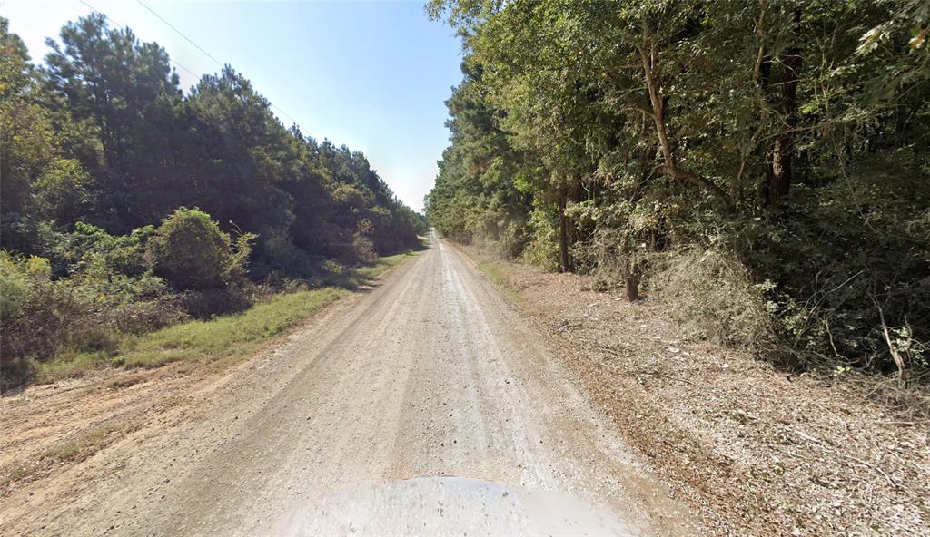 0 Johns Gin Road Keithville, LA 71047 - Photo 5 of 6 a view of a dry yard with trees
