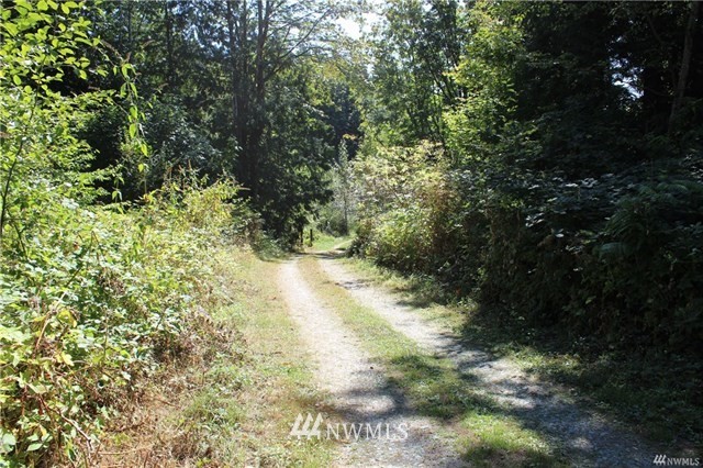 24905 Happy Trails Road Sedro-Woolley, WA 98284 - Photo 12 of 23 Gallery Image 12