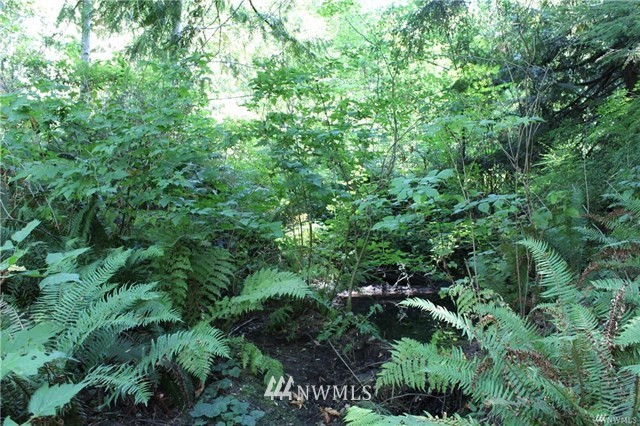 24905 Happy Trails Road Sedro-Woolley, WA 98284 - Photo 15 of 23 Gallery Image 15