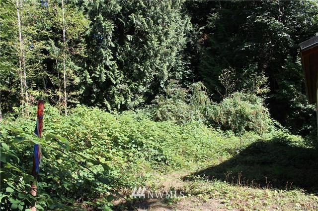 24905 Happy Trails Road Sedro-Woolley, WA 98284 - Photo 3 of 23 Gallery Image 3