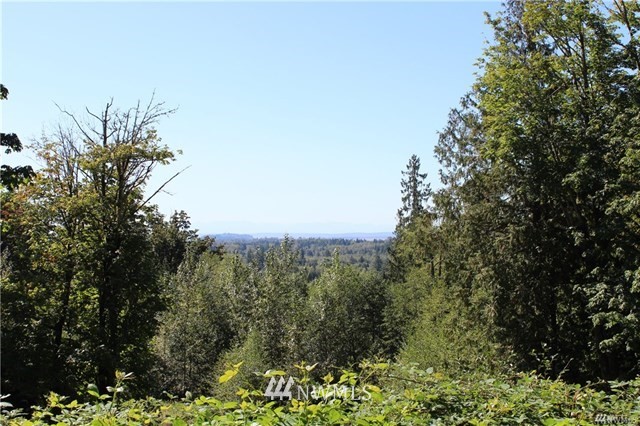 24905 Happy Trails Road Sedro-Woolley, WA 98284 - Photo 5 of 23 Gallery Image 5