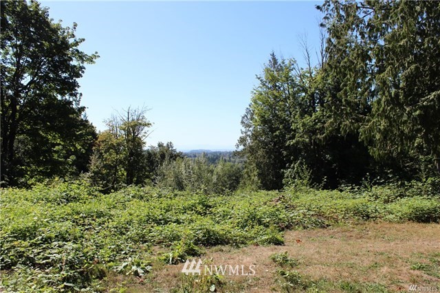 24905 Happy Trails Road Sedro-Woolley, WA 98284 - Photo 6 of 23 Gallery Image 6