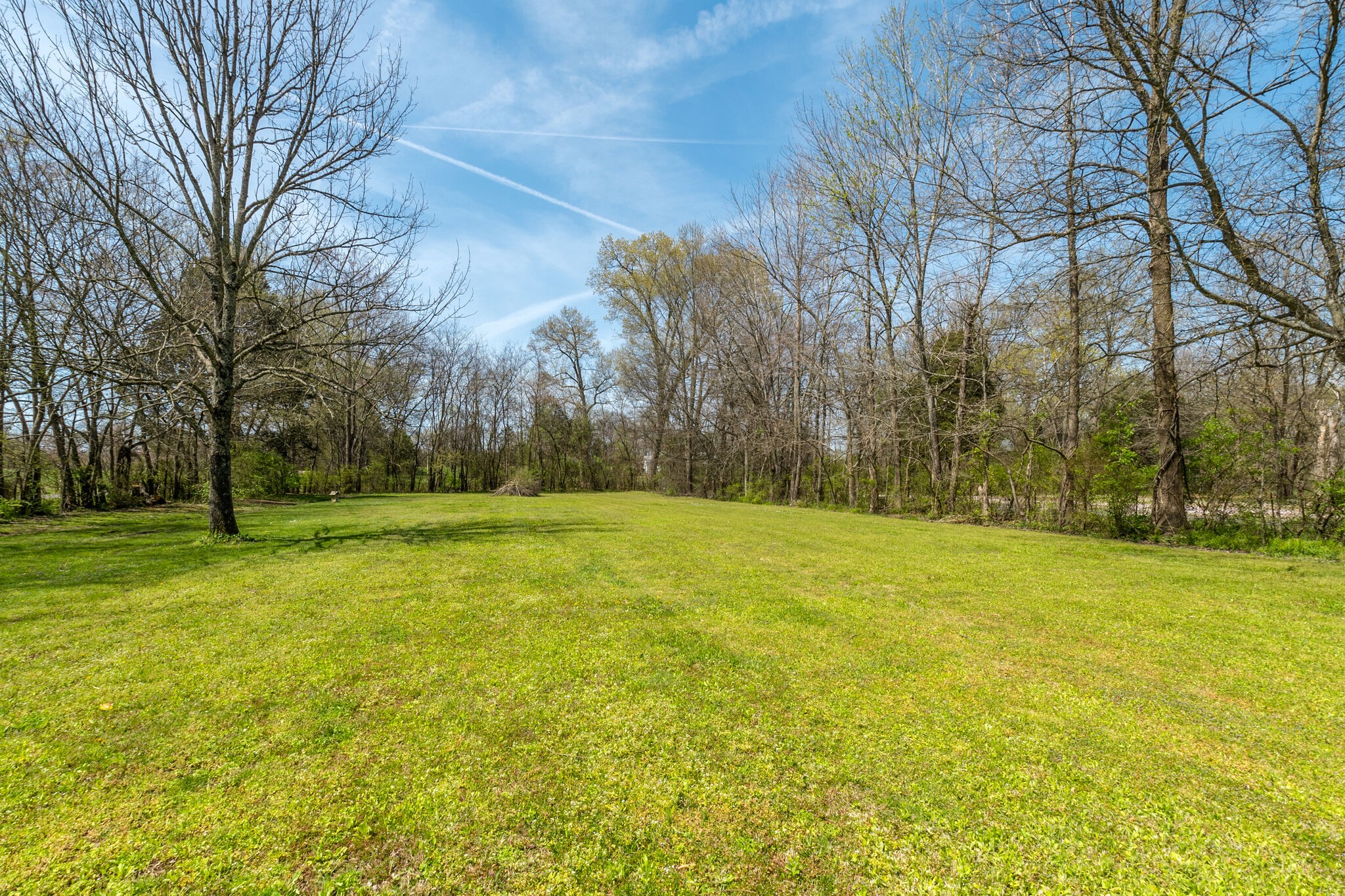 2491 Double Log Cabin Road Lebanon, TN 37087 - Photo 30 of 31 a view of yard with trees