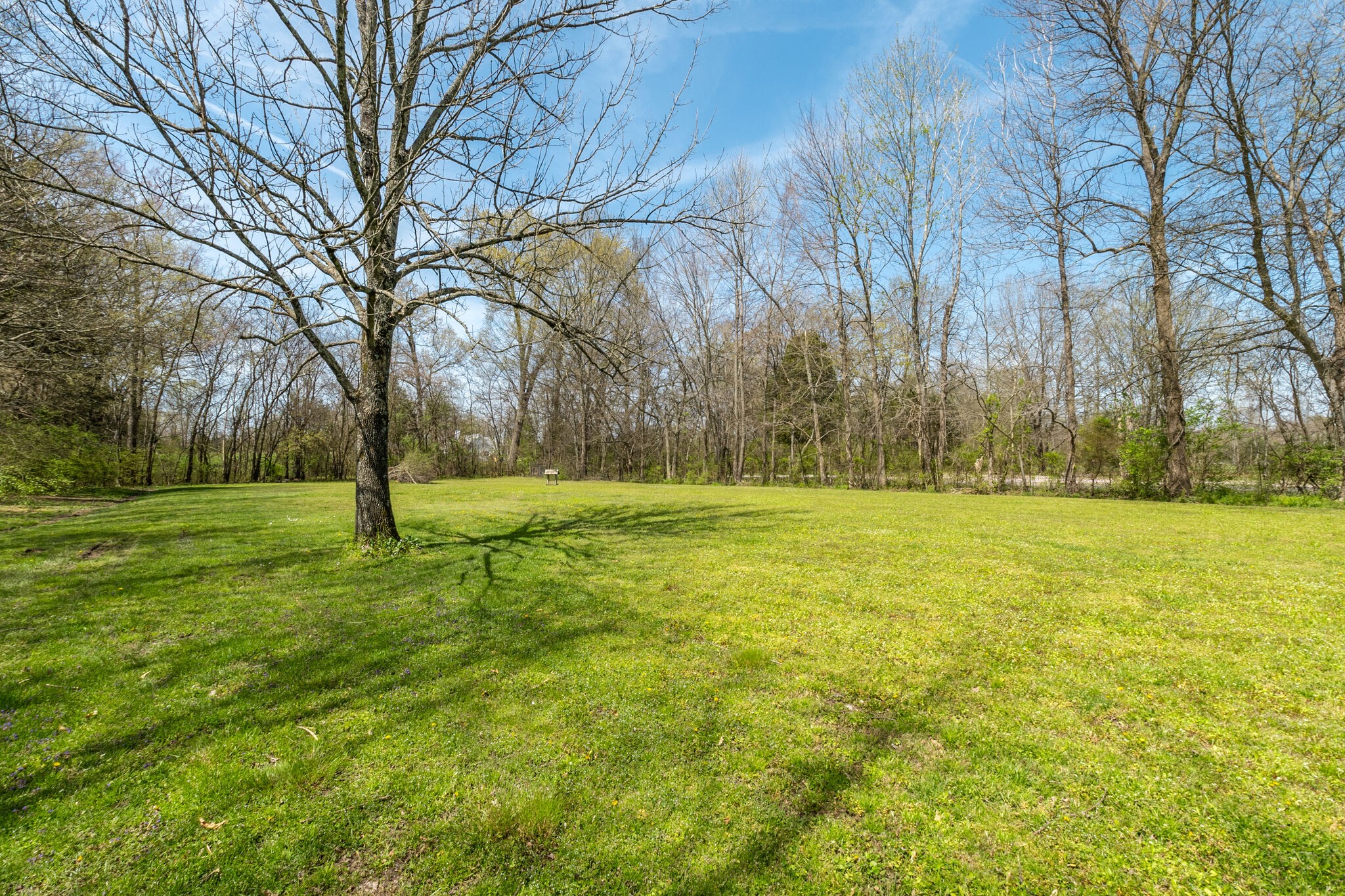 2491 Double Log Cabin Road Lebanon, TN 37087 - Photo 31 of 31 a view of swimming pool with trees