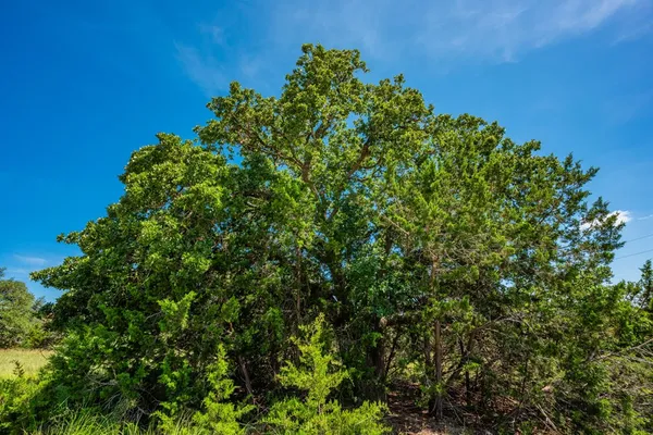 $795,000 | 123 West Northridge Dr Mountain, Mountain Home, TX 78058