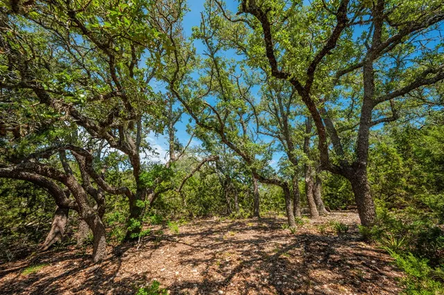 a view of a lake with a big yard