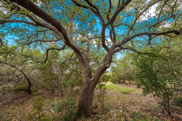 $795,000 | 123 West Northridge Dr Mountain, Mountain Home, TX 78058