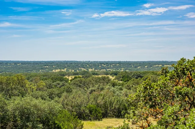 a view of a backyard with large trees
