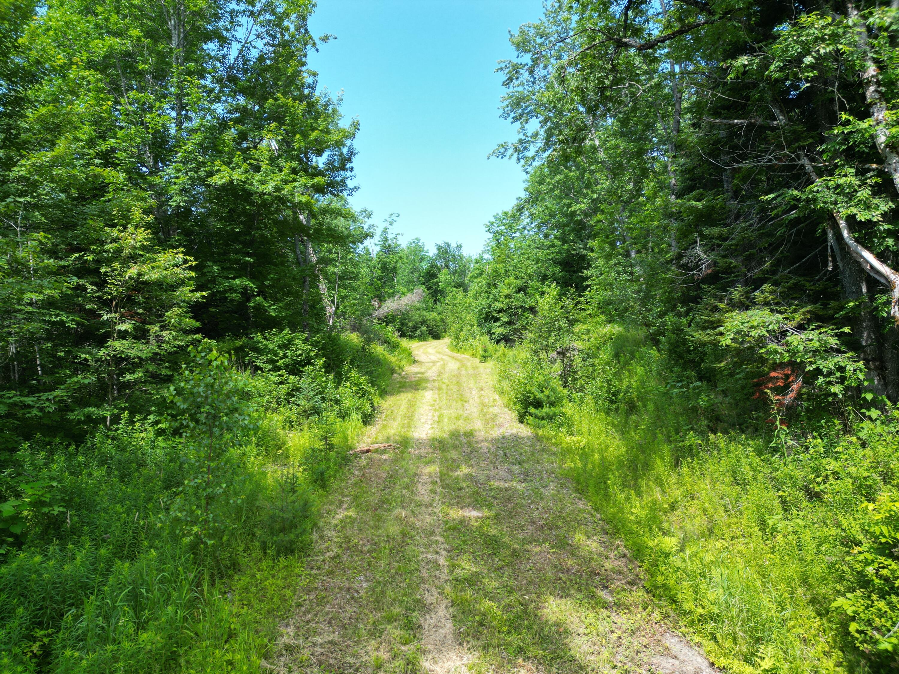 Lot 2 Main Road Carroll Plt, ME 04487 - Photo 15 of 23 DJI_0878