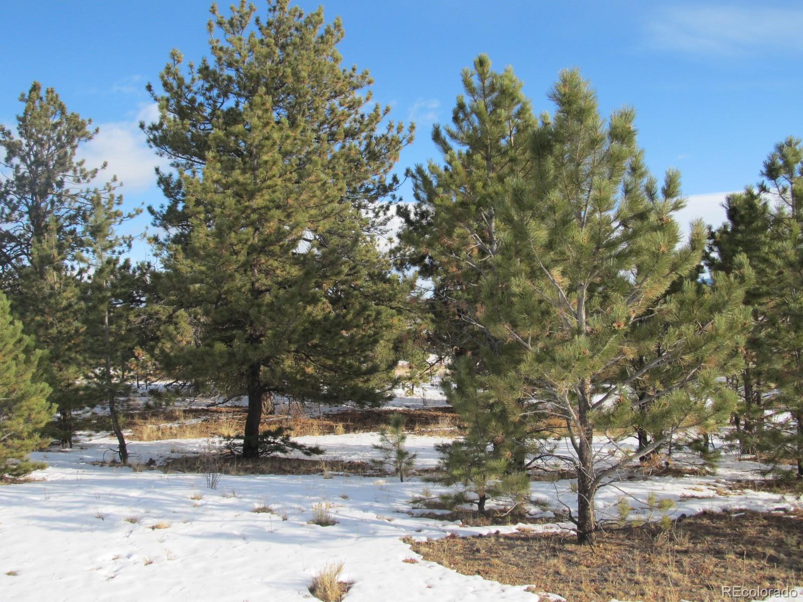 135 Mesa Road Hartsel, CO 80449 - Photo 11 of 12 Gallery Image 11