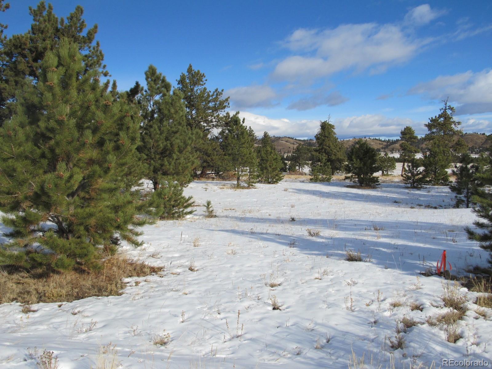135 Mesa Road Hartsel, CO 80449 - Photo 12 of 12 Gallery Image 12