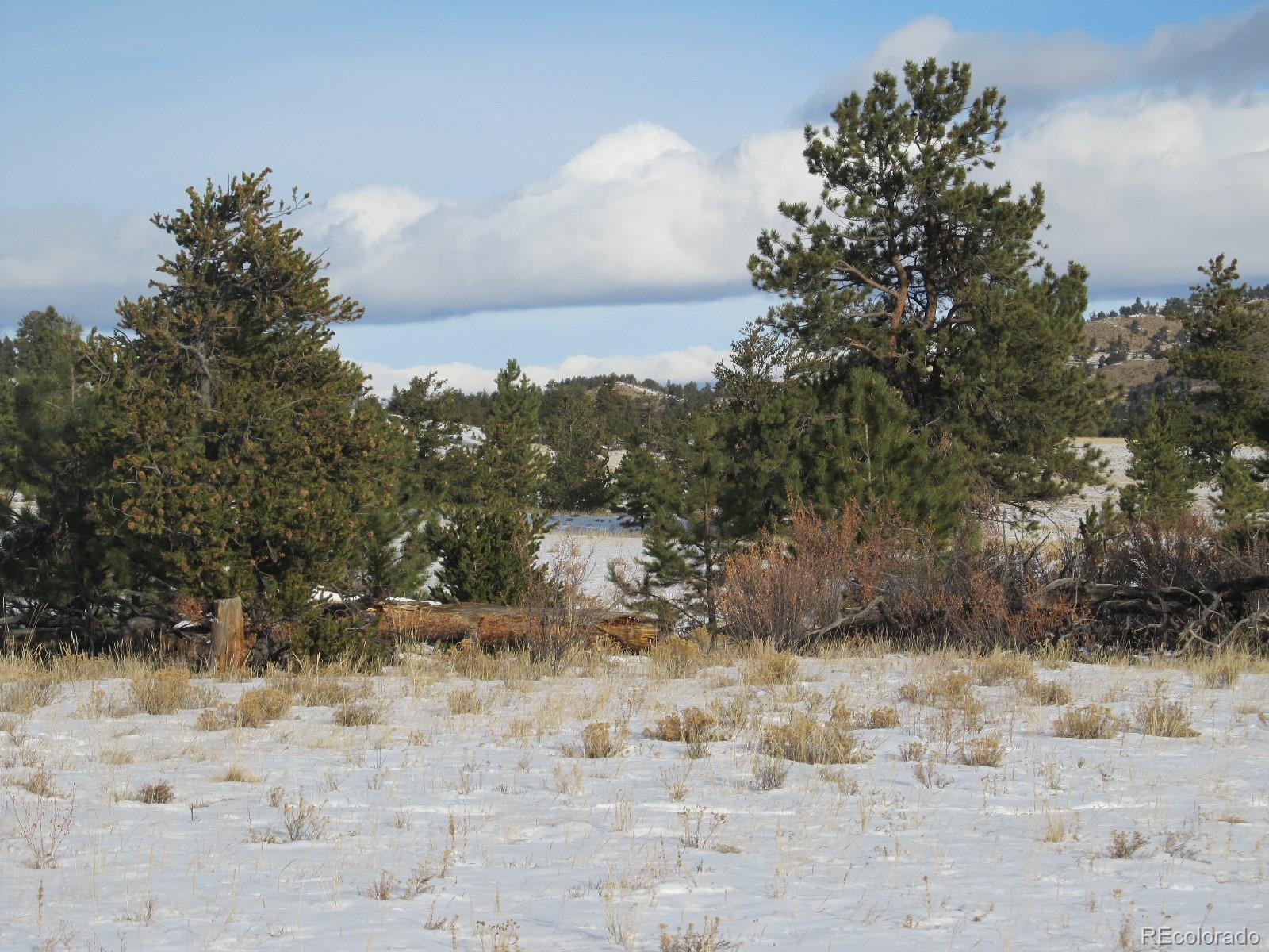135 Mesa Road Hartsel, CO 80449 - Photo 2 of 12 Gallery Image 2