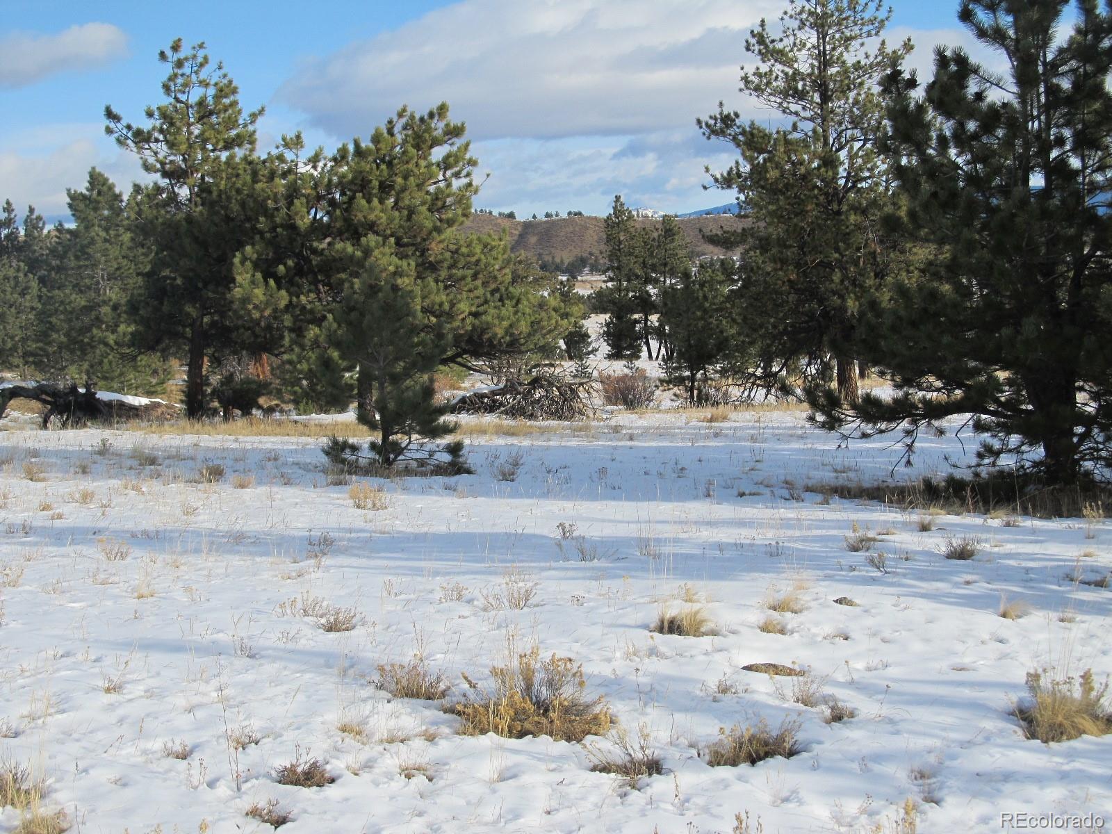 135 Mesa Road Hartsel, CO 80449 - Photo 3 of 12 Gallery Image 3