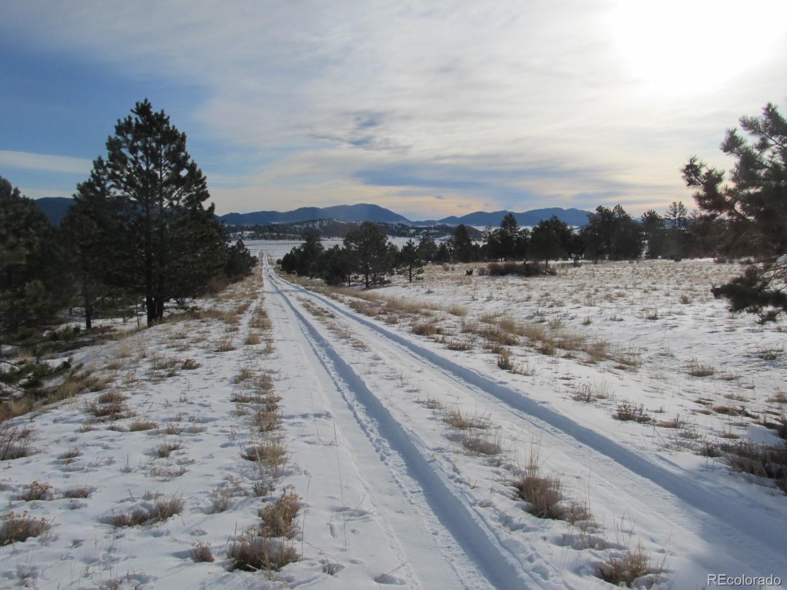 135 Mesa Road Hartsel, CO 80449 - Photo 5 of 12 Gallery Image 5