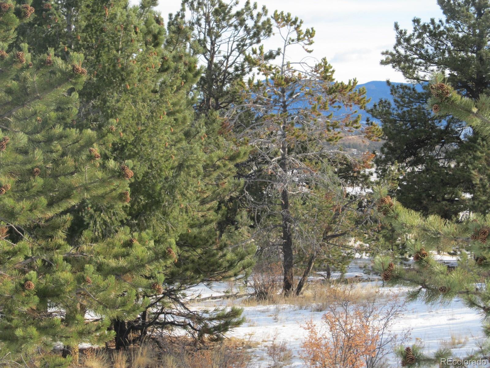 135 Mesa Road Hartsel, CO 80449 - Photo 8 of 12 Gallery Image 8