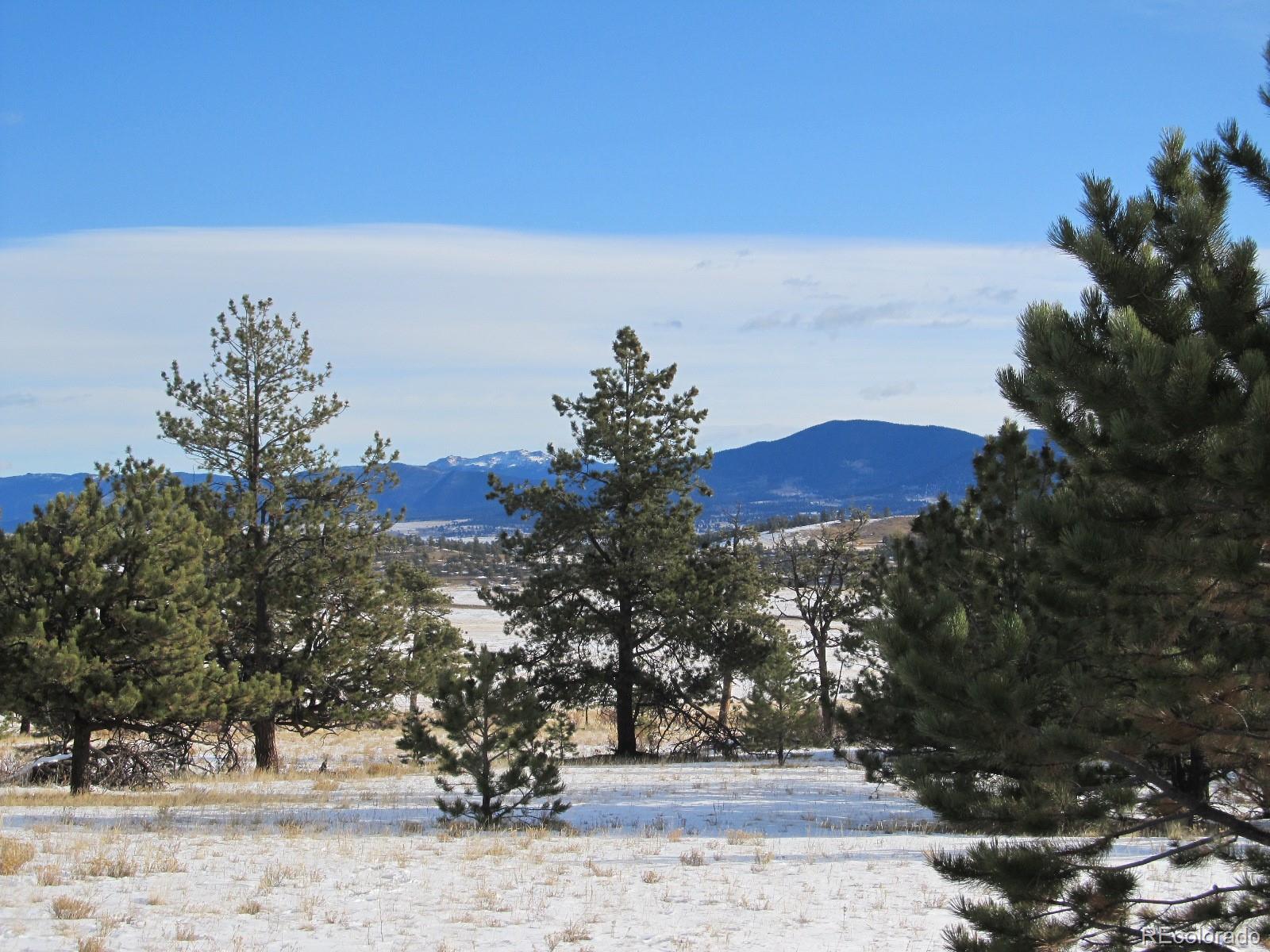135 Mesa Road Hartsel, CO 80449 - Photo 10 of 12 Gallery Image 10