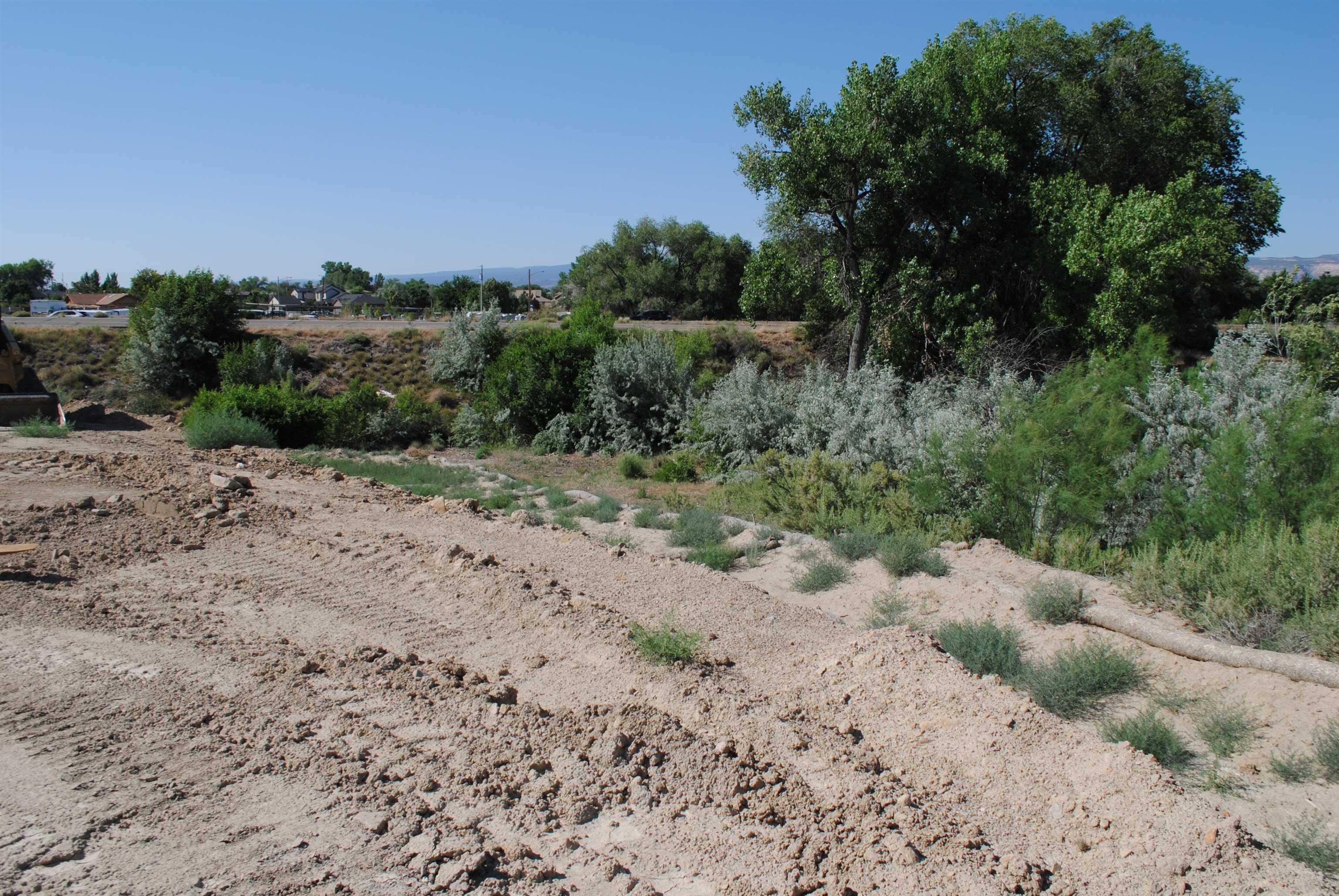 Lot 4 Maroon Creek Loop Grand Junction, CO 81505 - Photo 12 of 20 a view of a dry yard with lots of trees