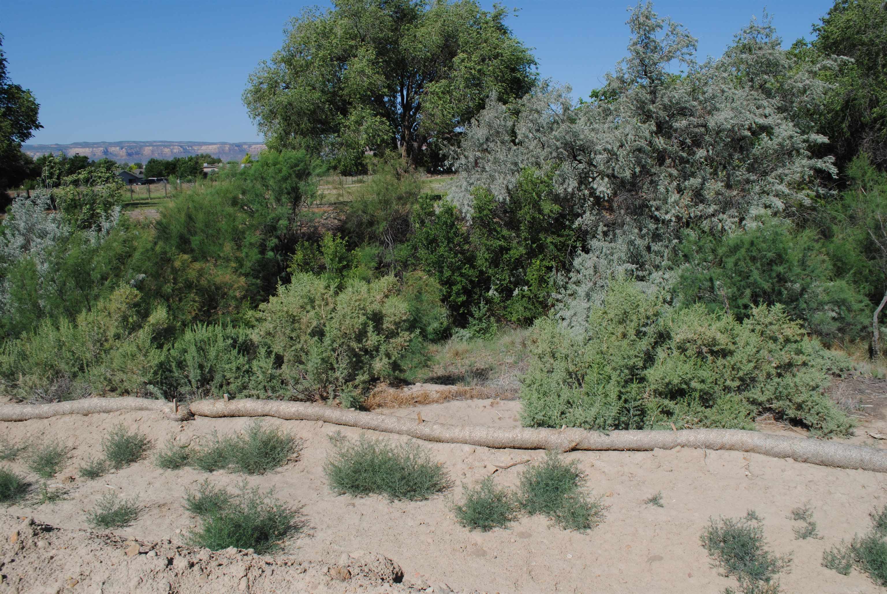 Lot 4 Maroon Creek Loop Grand Junction, CO 81505 - Photo 13 of 20 an aerial view of a yard