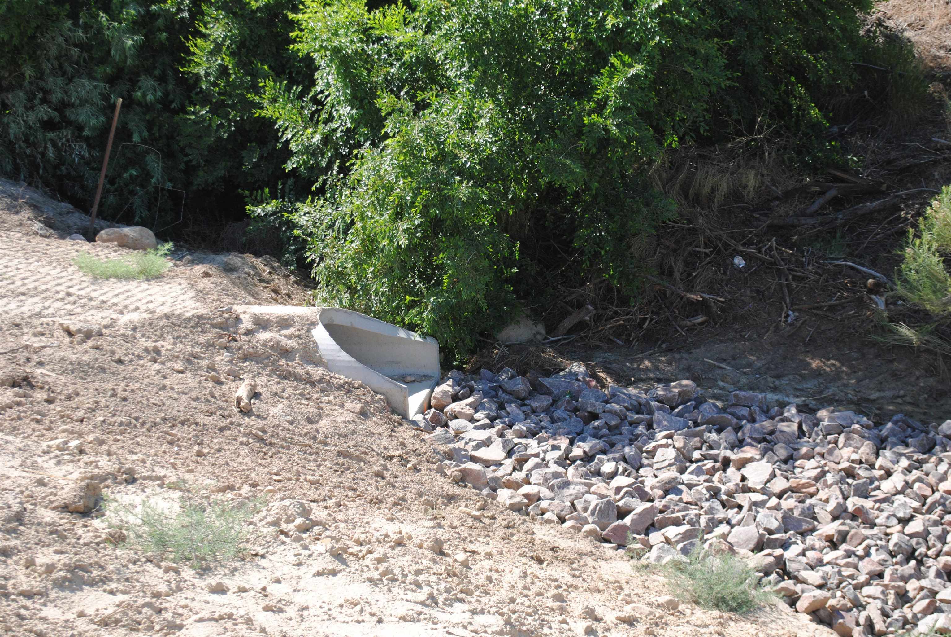 Lot 4 Maroon Creek Loop Grand Junction, CO 81505 - Photo 19 of 20 a view of a yard with plants and trees