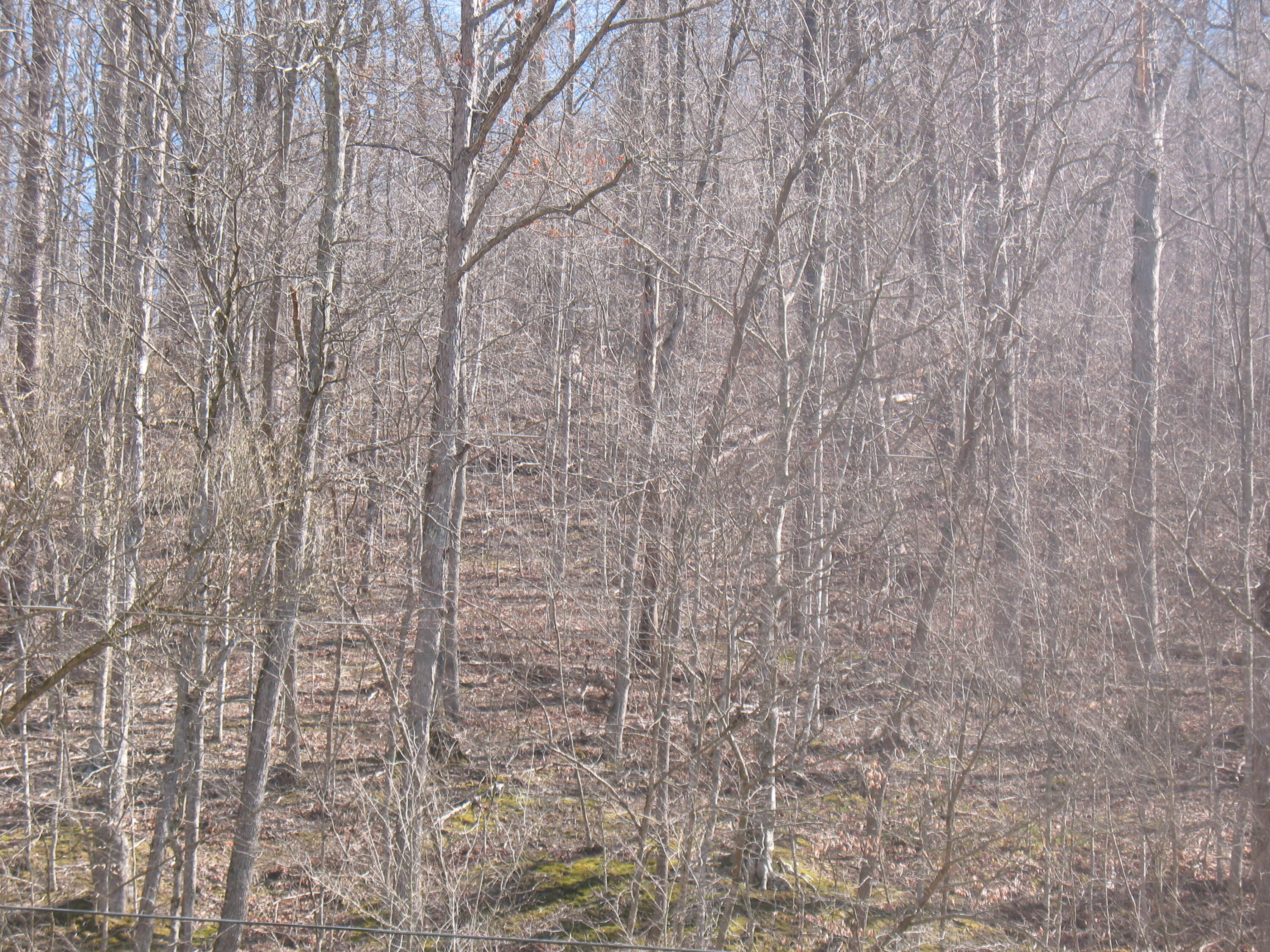 1391 Long Branch Road Oneida, KY 40972 - Photo 7 of 13 IMG_4597