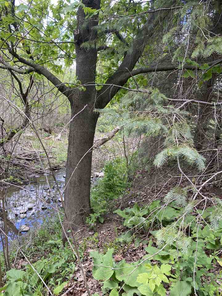 6895 Lansing Road Durand, MI 48429 - Photo 10 of 31