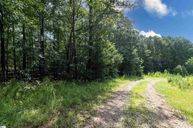 $275,000 | 0 Hobby House Way, Woodruff, SC 29388