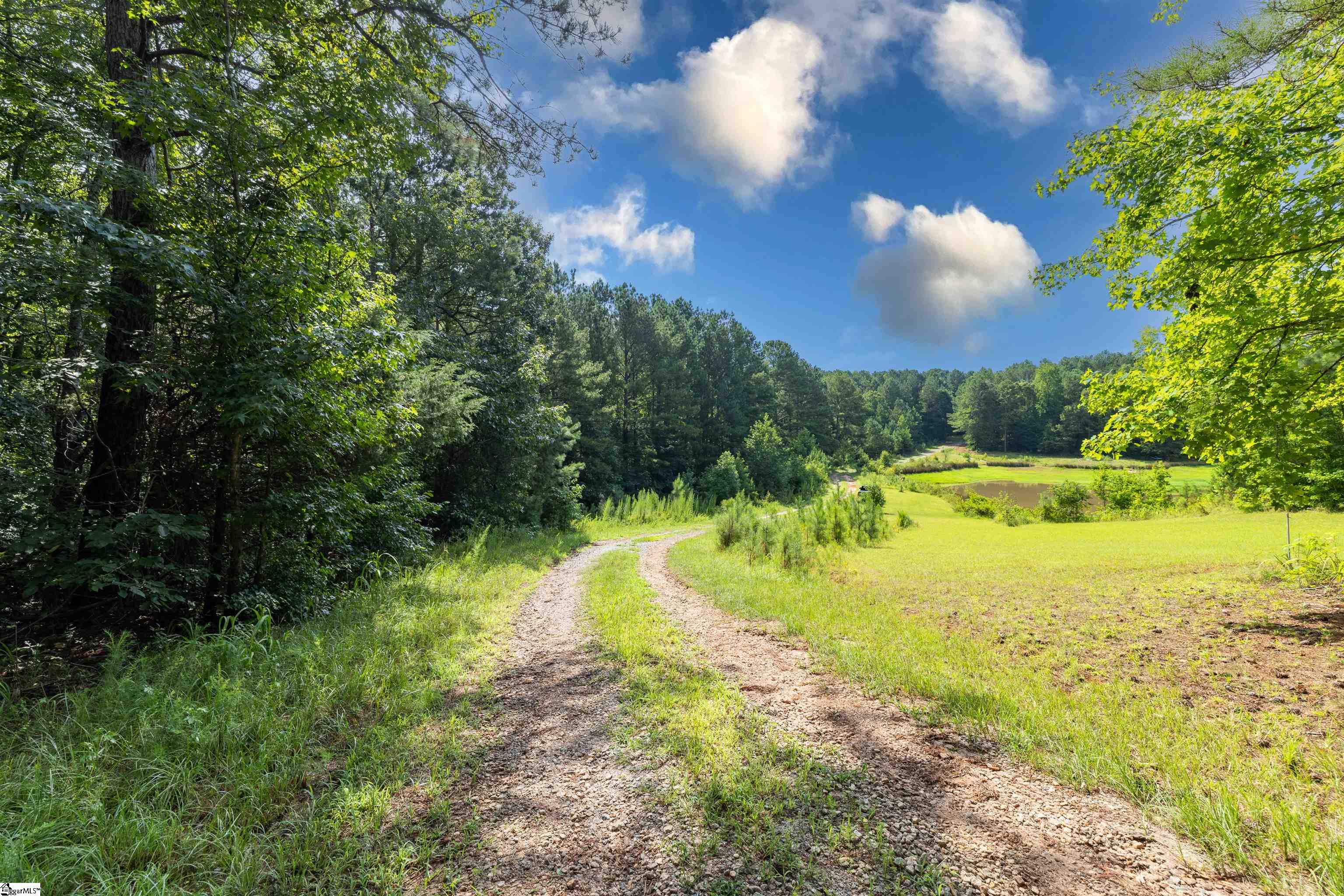 0 Hobby House Way Woodruff, SC 29388 - Photo 2 of 11