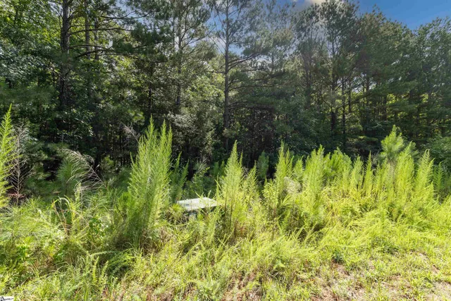 $275,000 | 0 Hobby House Way, Woodruff, SC 29388