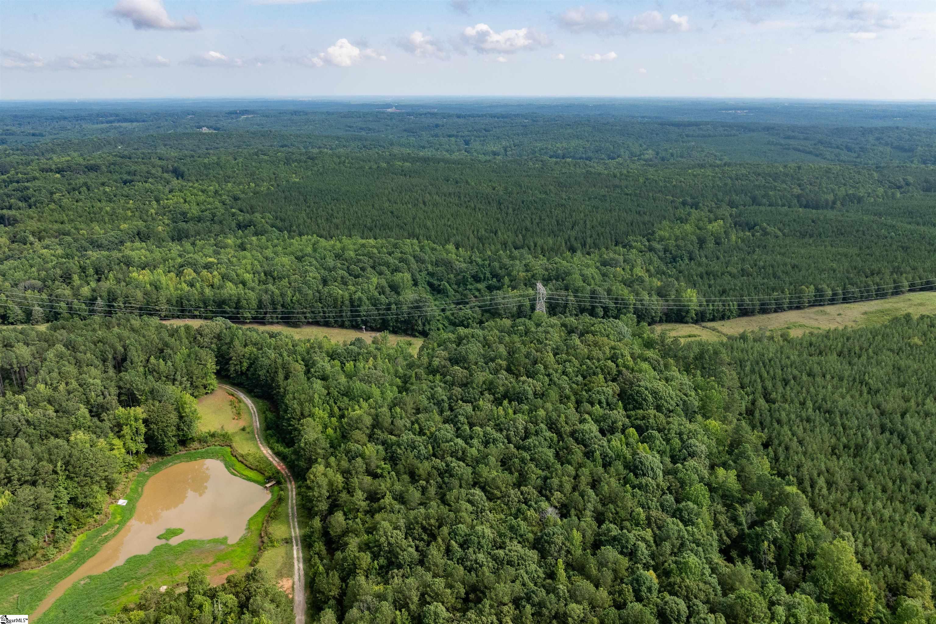 0 Hobby House Way Woodruff, SC 29388 - Photo 9 of 11