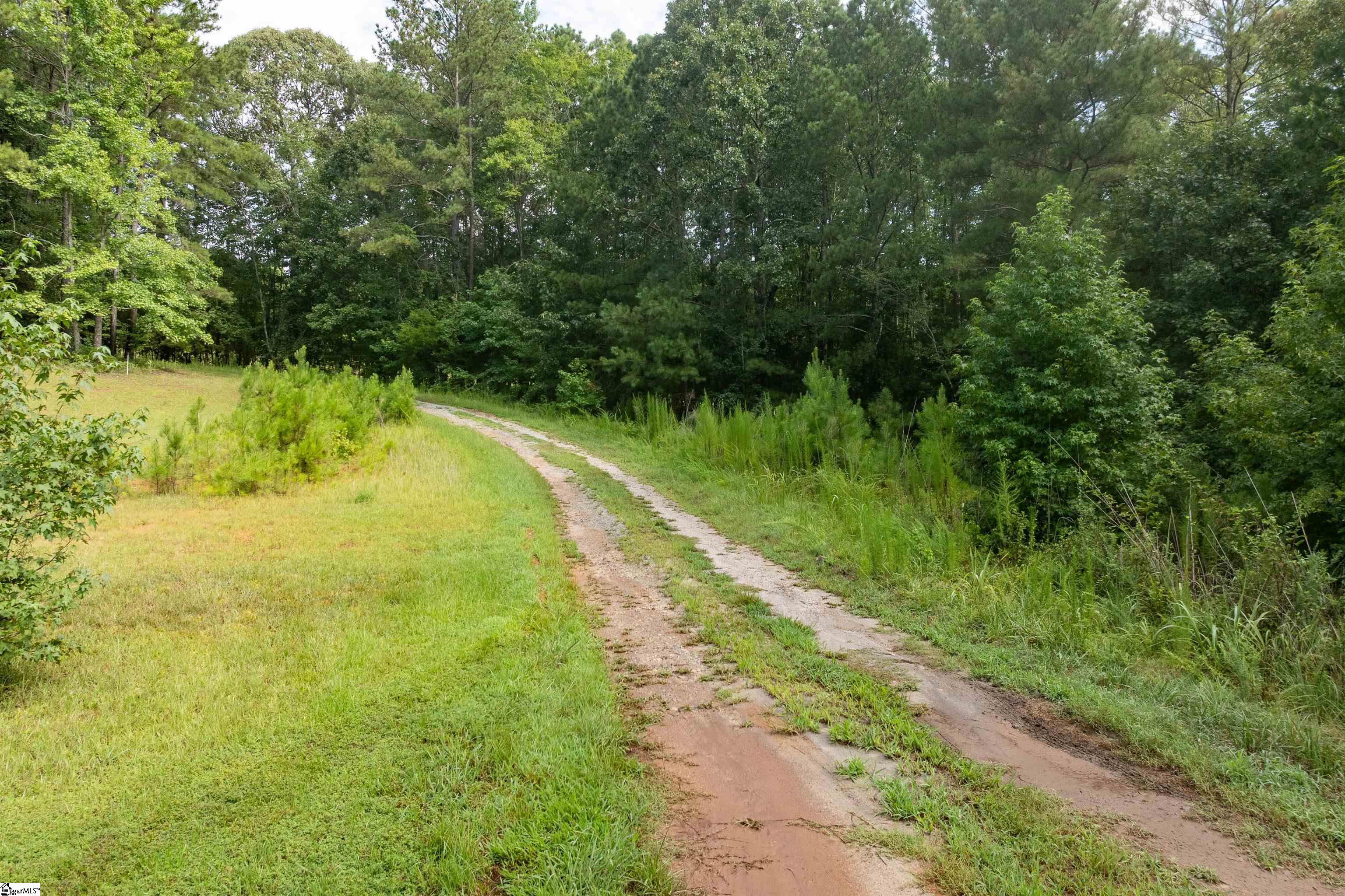 0 Hobby House Way Woodruff, SC 29388 - Photo 10 of 11