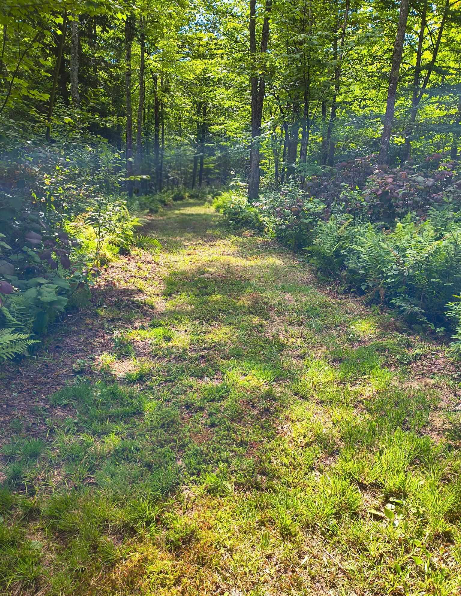 2580 Canaan Hill Road Averill, VT 05903 - Photo 10 of 35 Gallery Image 10