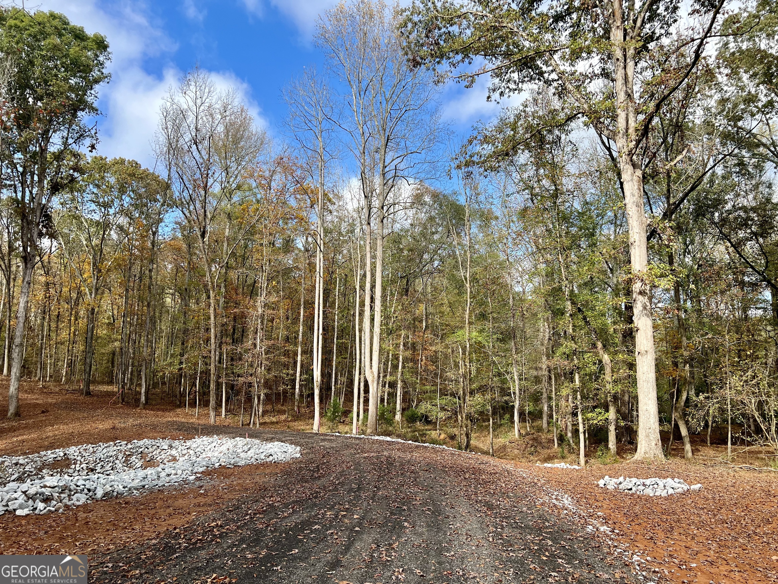 4023 Jersey Covington Road Covington, GA 30014 - Photo 3 of 6 a view of outdoor space with trees