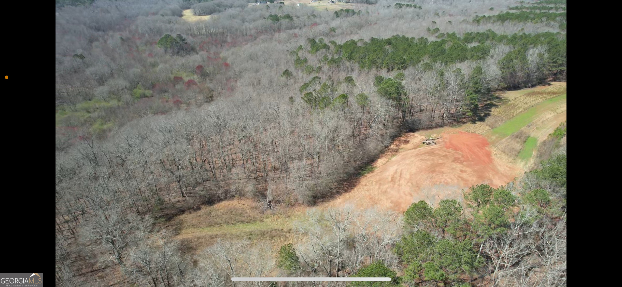 4023 Jersey Covington Road Covington, GA 30014 - Photo 4 of 6 a view of a yard in a forest