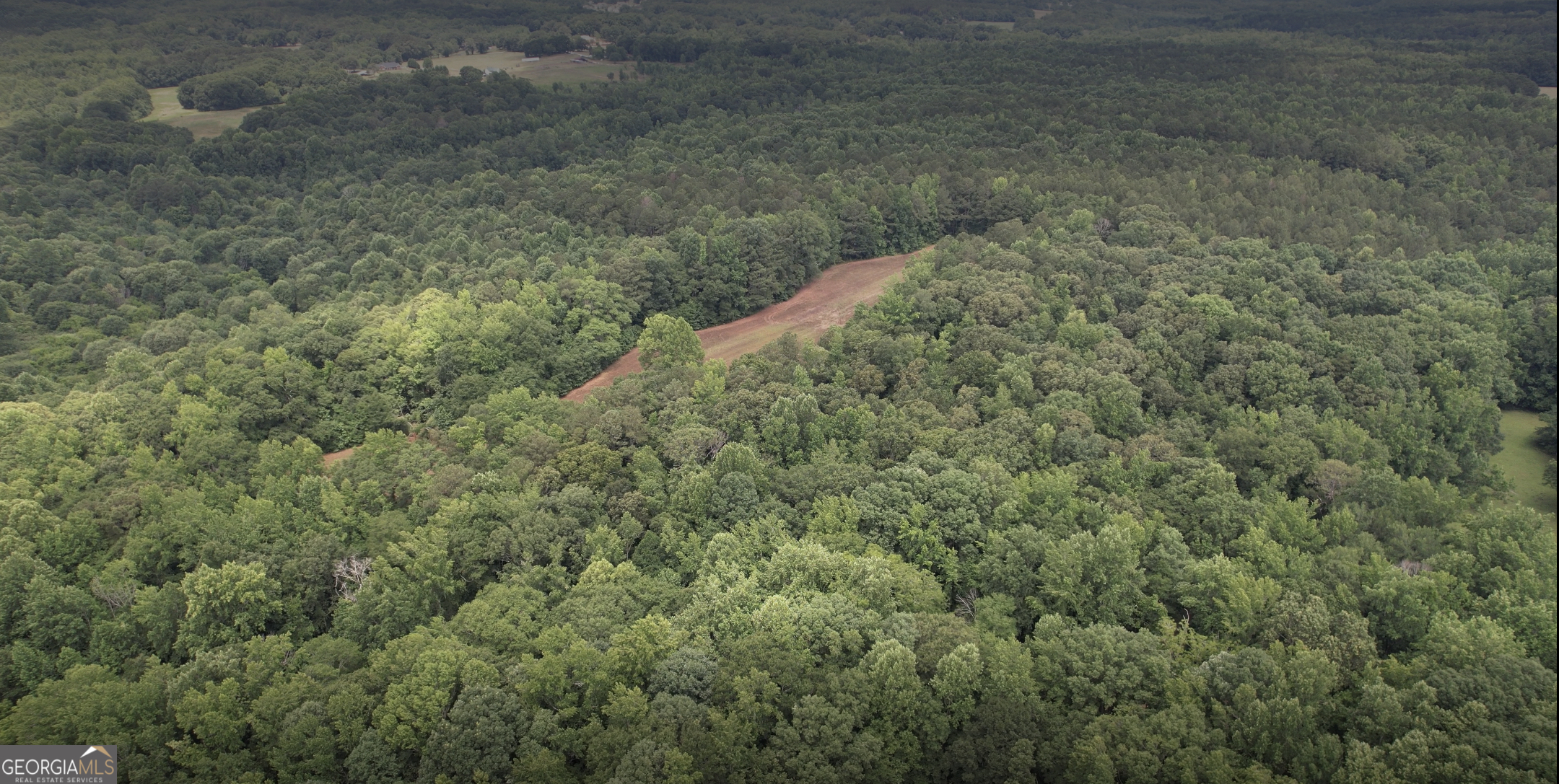 4023 Jersey Covington Road Covington, GA 30014 - Photo 5 of 6 a view of a forest with a street