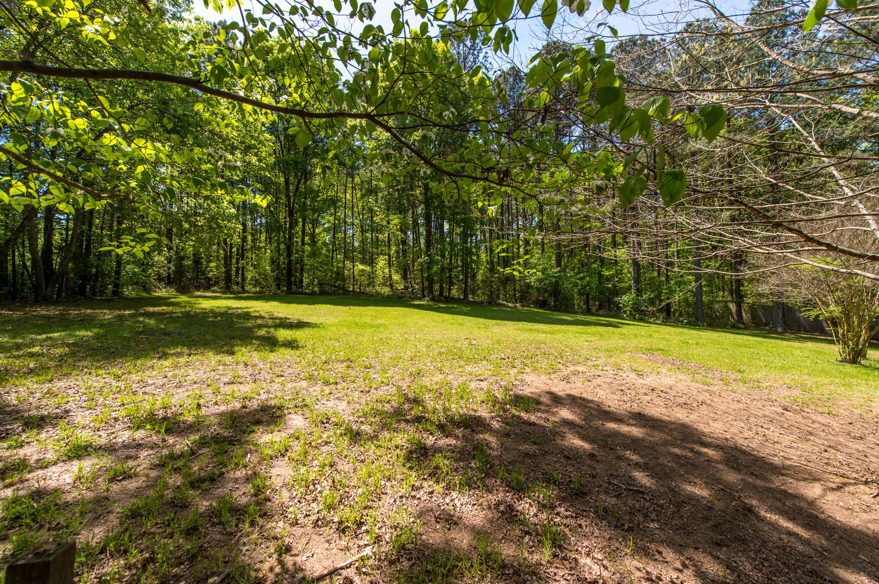 9600 Harrison Bay Road Harrison, TN 37341 - Photo 2 of 25 _MG10930