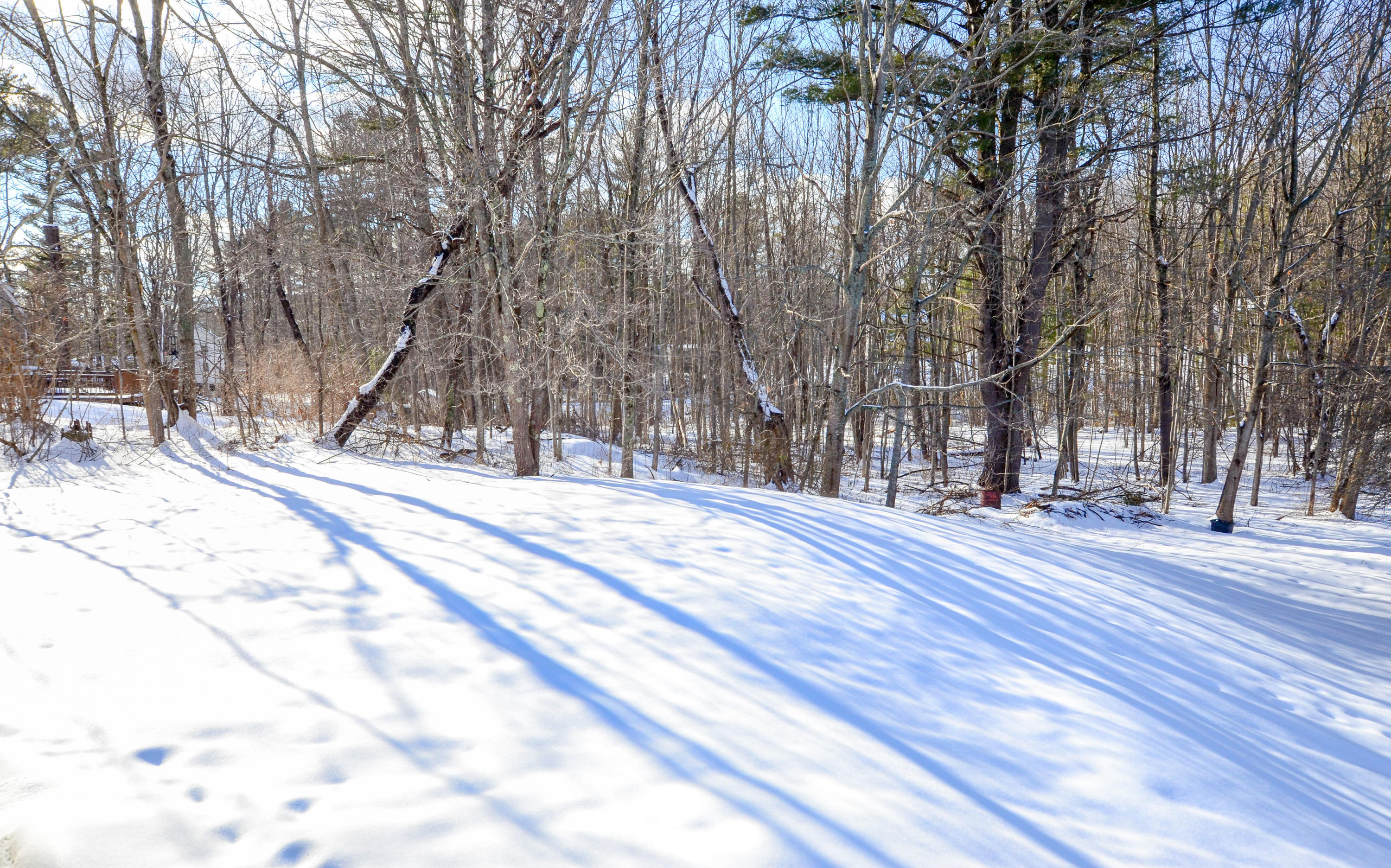 85 Picott Road Kittery, ME 03904 - Photo 31 of 36 DSC_8644