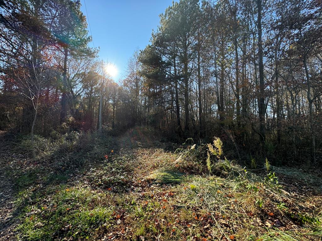 Lot 9 Ox Heart Road, Unit 9 Hallwood, VA 23359 - Photo 1 of 3