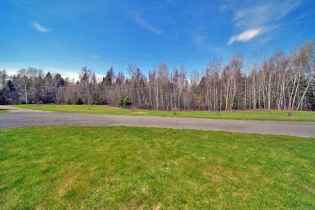 217 Campbell Road New Limerick, ME 04761 - Photo 91 of 92 open-land-lawns-woods