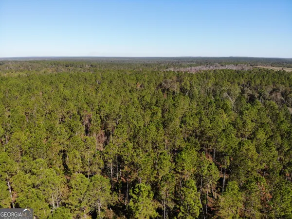 $299,000 | 1701 Golden Isles Parkway, McRae-Helena, GA 31055