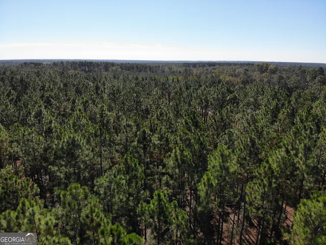 an aerial view of house with yard