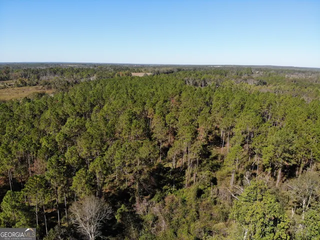 $299,000 | 1701 Golden Isles Parkway, McRae-Helena, GA 31055