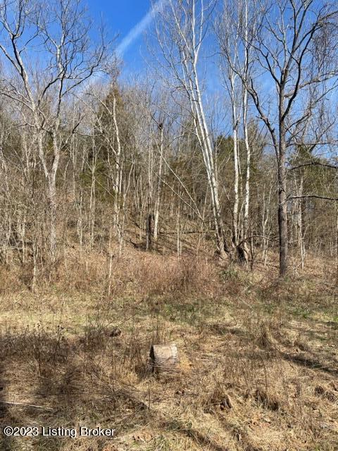 0 East Prong Locust Road Milton, KY 40045 - Photo 6 of 7 image004