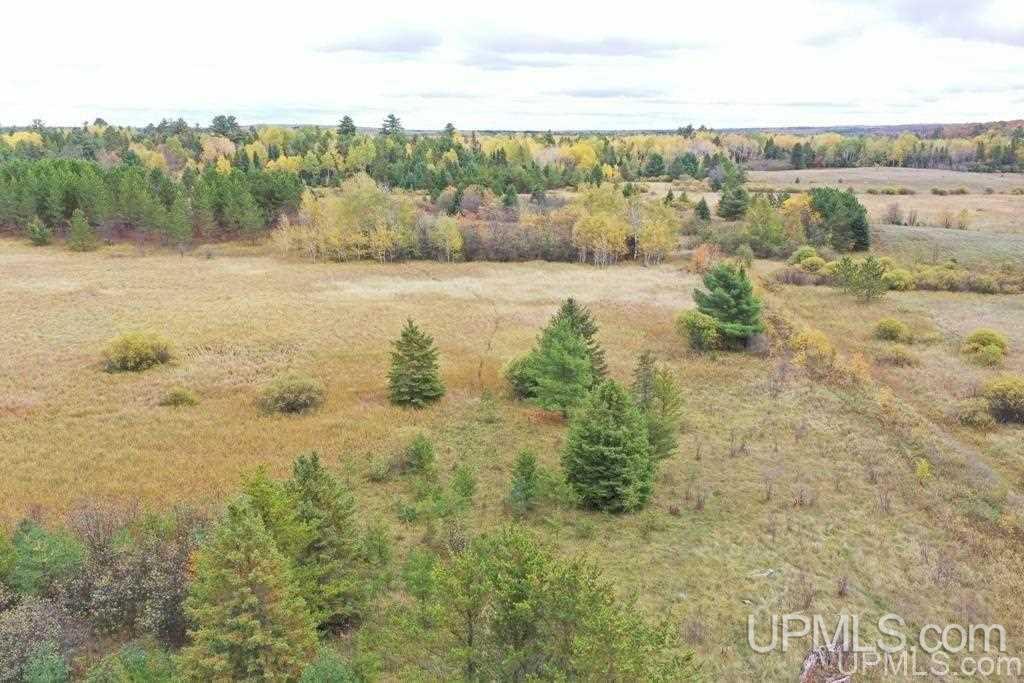 Tbd South County Line Road Watersmeet, MI 49969 - Photo 2 of 16