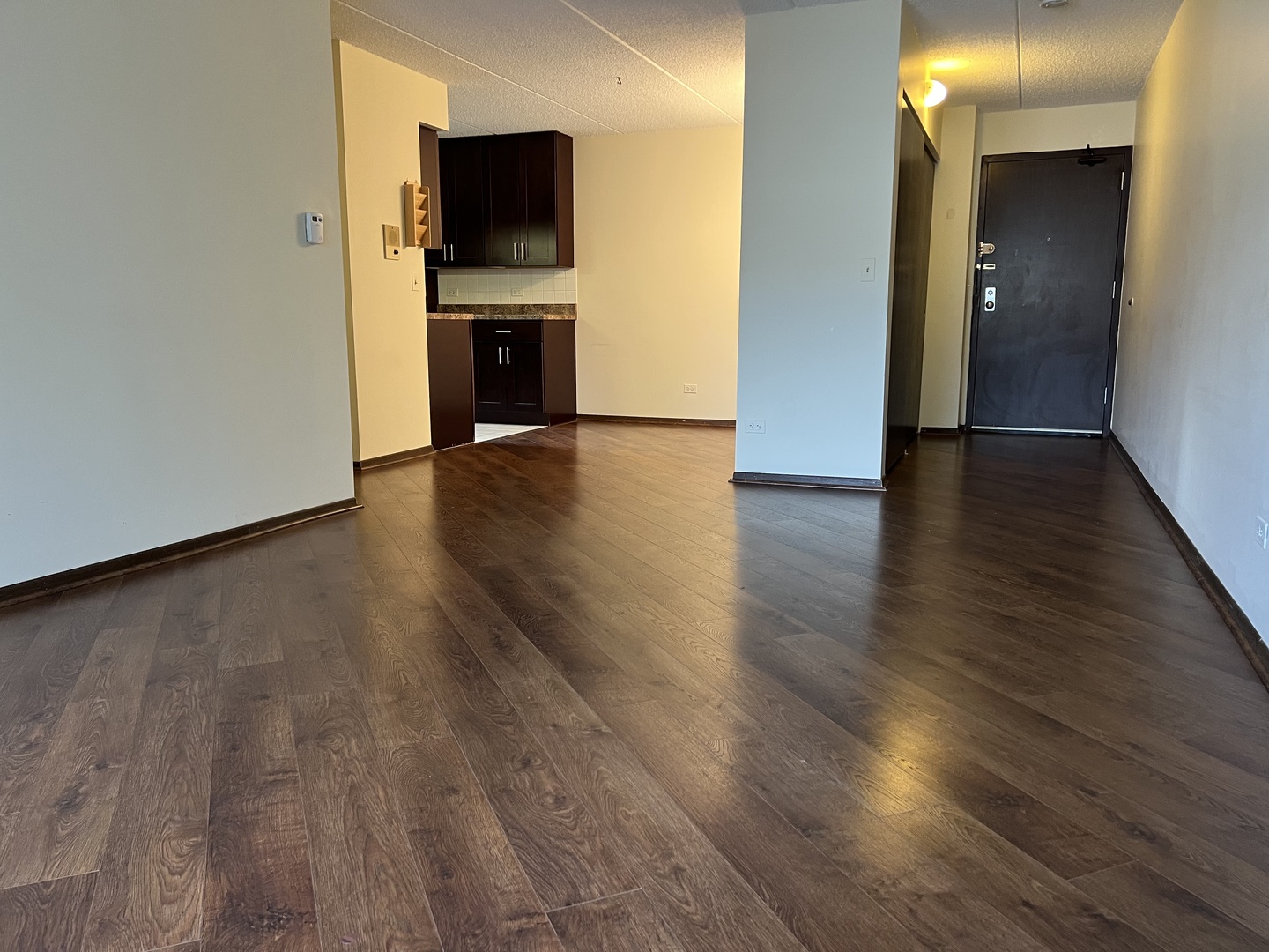 835 Pearson Street, Unit 209 Des Plaines, IL 60016 - Photo 3 of 10 a view of a livingroom with wooden floor and a fireplace