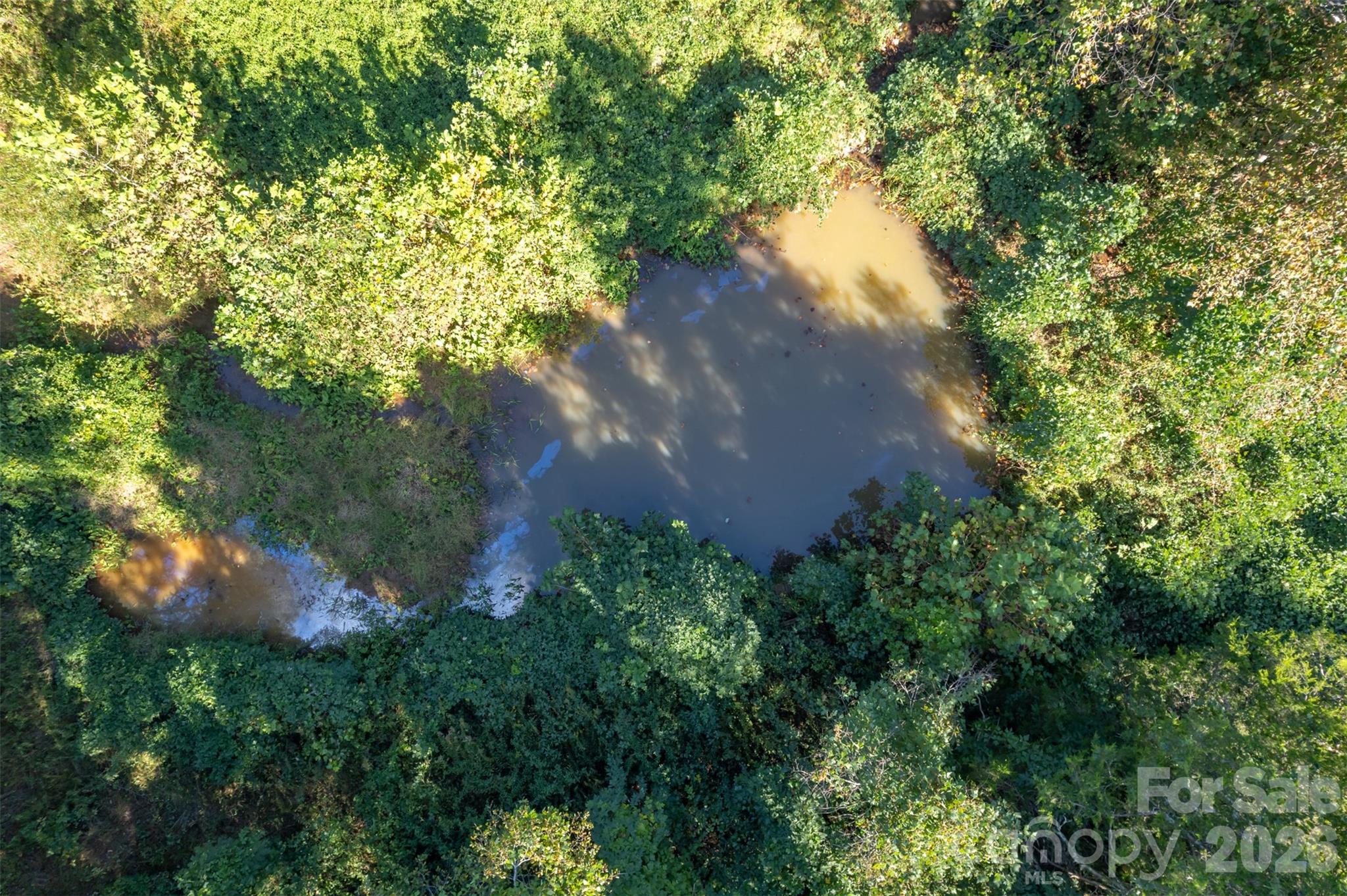 351 Waters Road Bostic, NC 28018 - Photo 4 of 35 a view of a tree in a garden