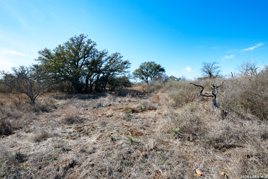 Tbd Hickory Grove Road Art, TX 76820 - Photo 8 of 27